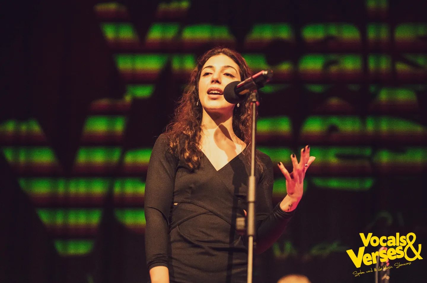 Ani performing spoken word at Vocals & Verses